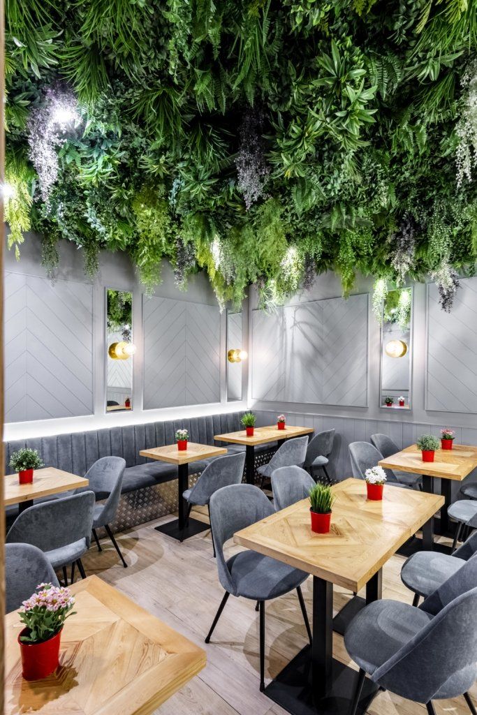 decorar restaurantes con plantas - techos recubiertos